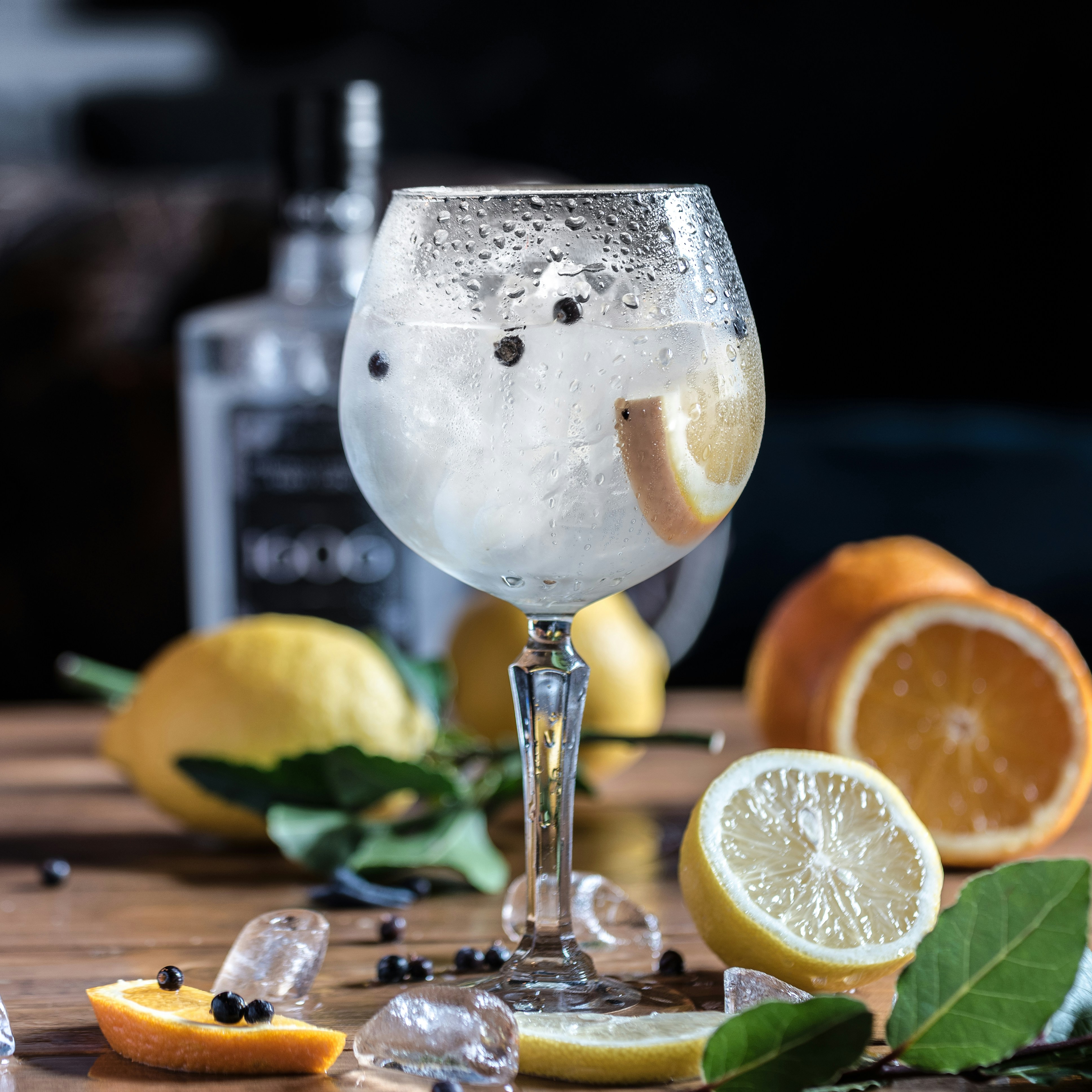 Top 5 des meilleurs gins de la France