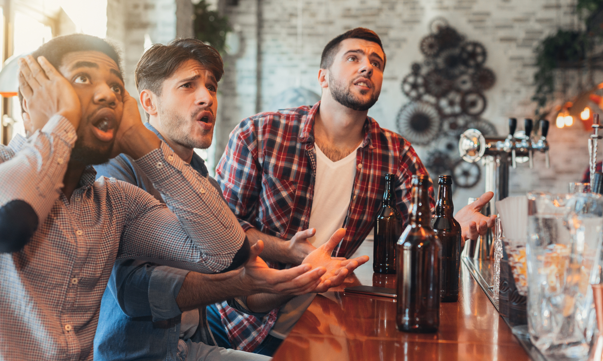 meilleurs festivals pro